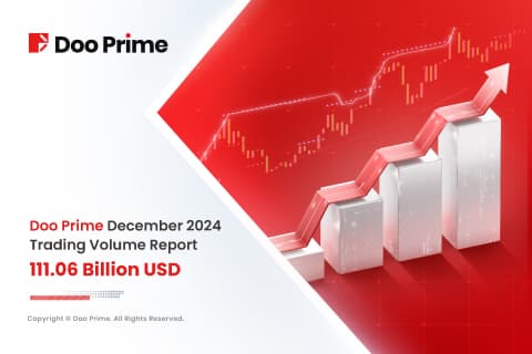 Doo Prime December 2024 Trading Volume Report 